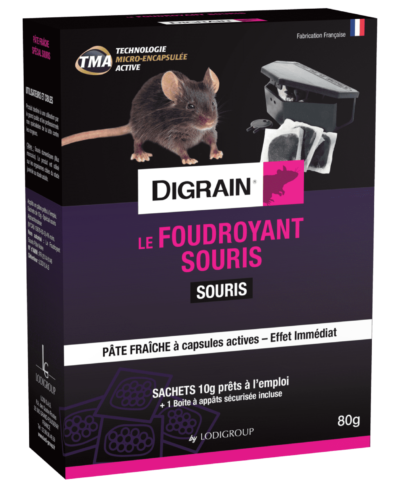 Digrain Le Foudroyant Souris