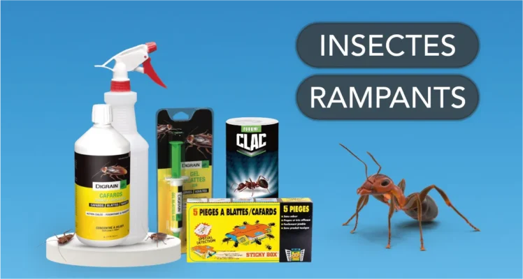Anti-insectes rampants : cafards, fourmis, blattes. Traitement efficace : gel, pièges, concentré à diluer.