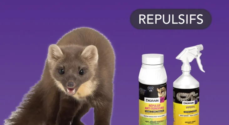 Répulsifs anti-rongeurs et serpents. Protégez votre maison et jardin. Solutions efficaces et durables.