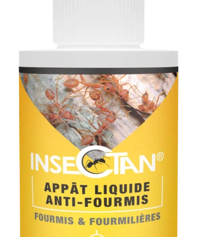 INSECTAN Appât Liquide Anti Fourmis