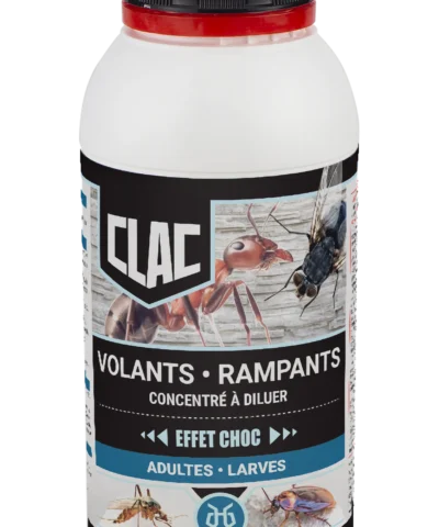 CLAC - Insecticide Volants-Rampants Concentré